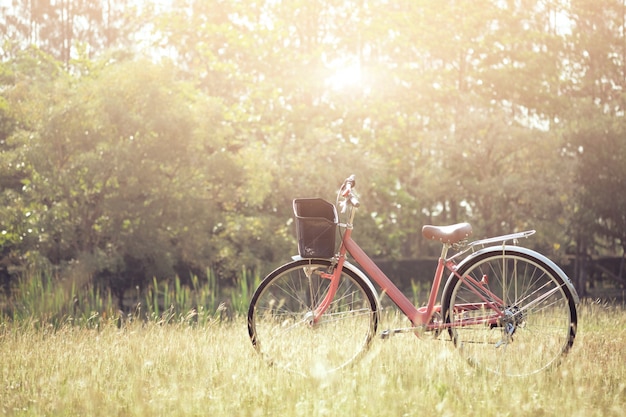 Vélo vintage avec champ d&#39;herbe d&#39;été