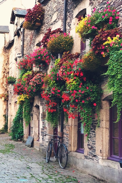 Vélo vintage devant la vieille maison couverte de fleurs en France Europe style rétro