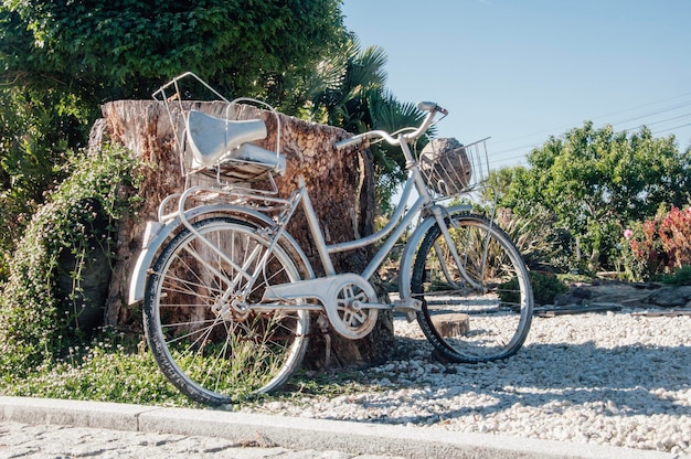 Vélo vintage femme garé sur grand tronc coupé d'un beau jardin