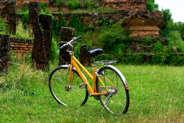 Vélo vintage sur pré vert