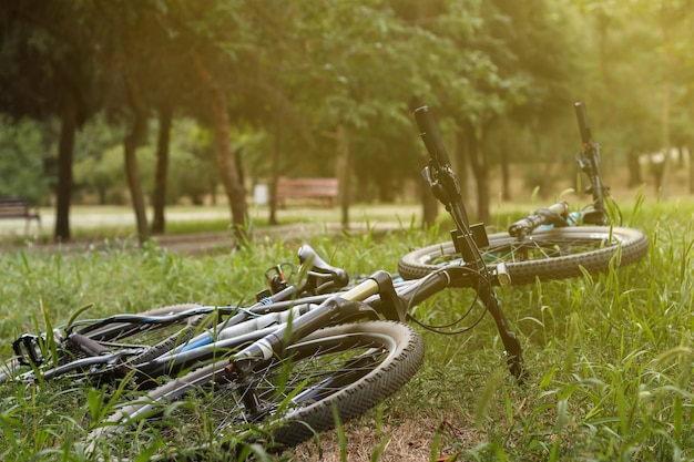 Vélos sur l'herbe dans le parc. Gros plan sur les vélos. Le concept d'un mode de vie actif et d'une conduite sûre.