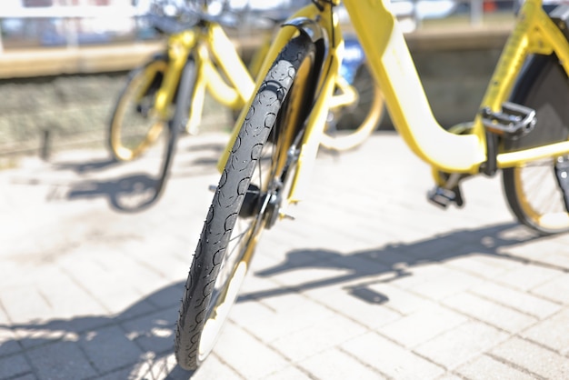 Les vélos jaunes sont garés dans le parking.