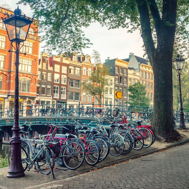 Vélos populaires en EuropexAEtransport écologiquexADe nombreux vélos sont garés dans la rue et les vieilles maisons européennes traditionnelles Amsterdam Pays-Bas Hollande