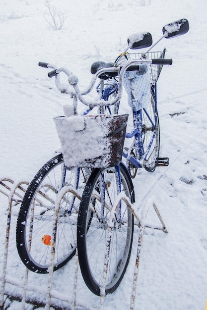 Les vélos sont dans la neige Hiver enneigé