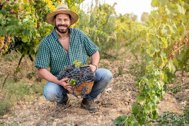 Vendanges dans le vignoble jeune agriculteur souriant