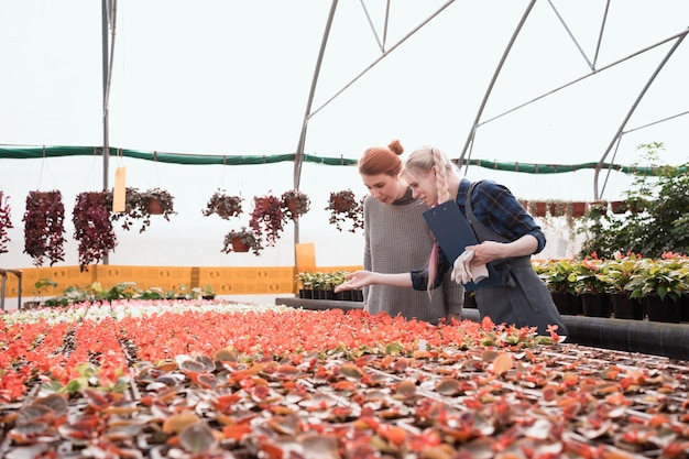 Photo vendeur et client marchant parmi les plantes d'intérieur et les fleurs dans la serre du centre commercial de jardin