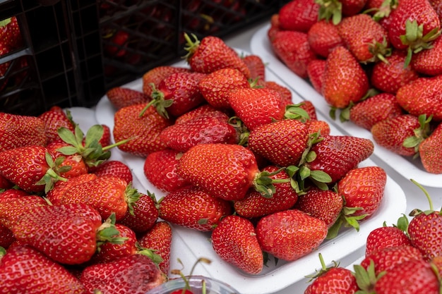 Vendre des fraises mûres dans un bazar de rue