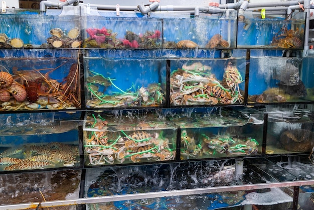 Vendre des fruits de mer dans un réservoir d'eau dans un restaurant de fruits de mer