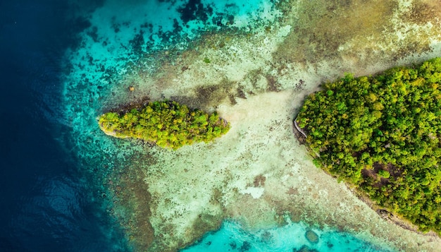 Venez voyager avec moi Prise de vue en grand angle des îles Raja Ampat entourées d'un océan limpide pendant des vacances en Indonésie