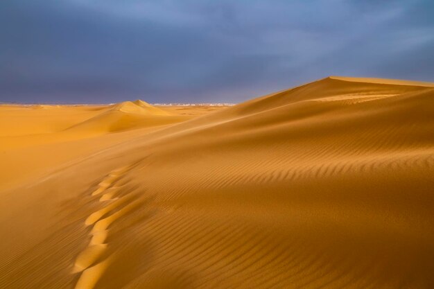 Vent fort au coucher du soleil sur les dunes de sable dans le désert Tempête de sable dans le désert du Sahara