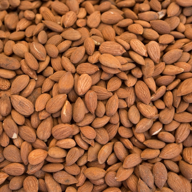 Vente d'amandes ochischenny sur le marché