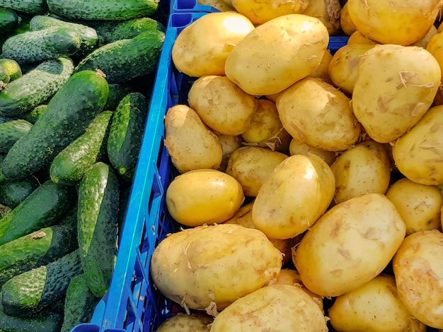 Vente de produits alimentaires biologiques au marché de l'agriculteur039s Pommes de terre et concombres frais sur le comptoir