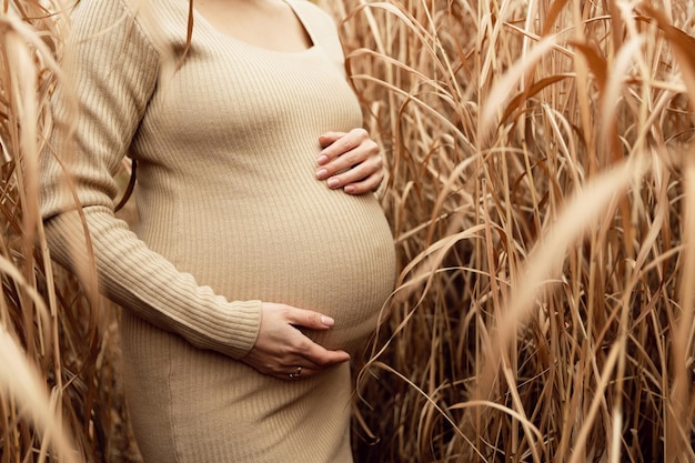 ventre de femme enceinte