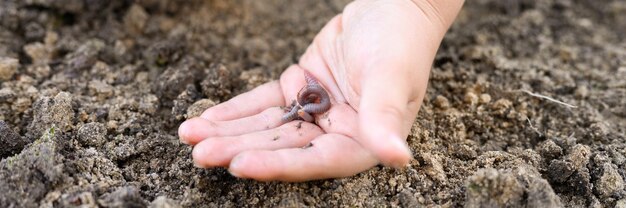 Un ver de terre dans les mains des enfants sur le printemps dans le jardin. bannière