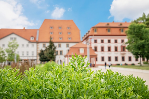 Verdure d'été lumineuse et maisons d'Erfurt, Allemagne