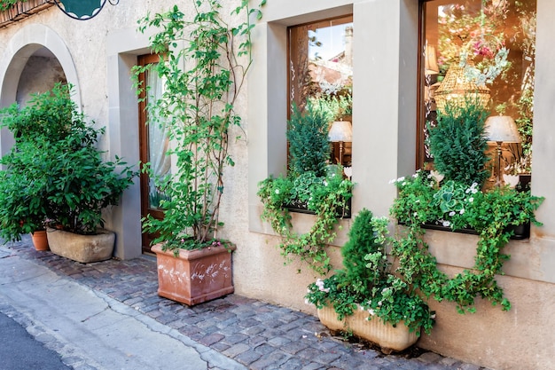 La verdure gracie les rues historiques de Yvoire