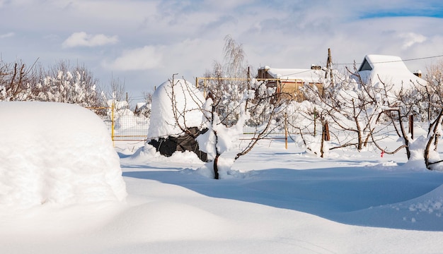 Un verger couvert de neige épaisse