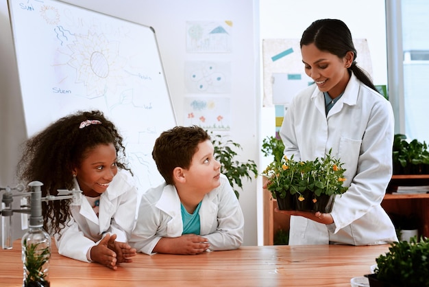 Vérifions avec notre petite étude de test Photo d'un adorable petit garçon et d'une fille apprenant les plantes avec leur professeur à l'école