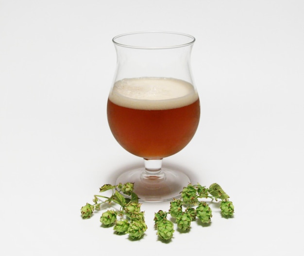 Un verre de bière à côté du houblon et un tas de houblon Bière artisanale avec du houblon frais