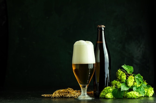 Verre de bière mousseuse froide bouteille de bière brune et hop sur fond sombre