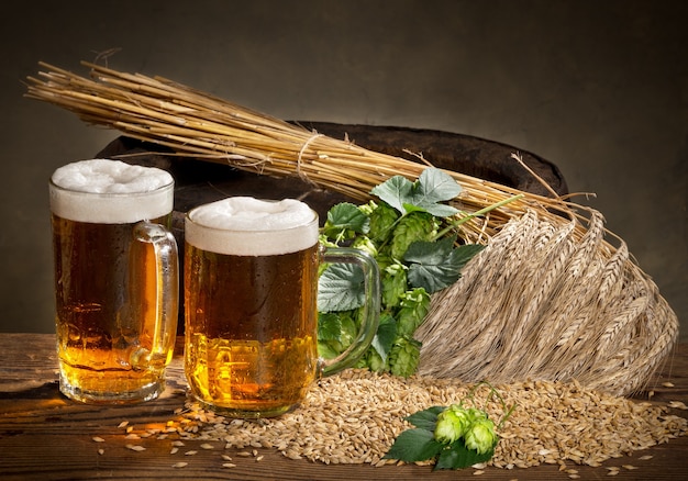 Photo verre de bières et matière première pour la production de bière