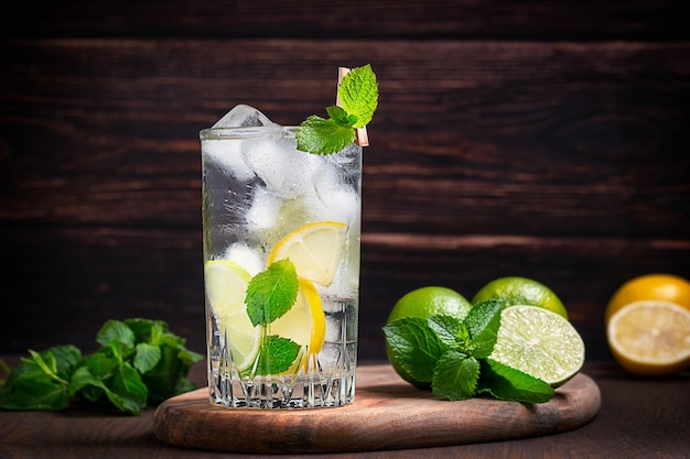Verre de cocktail de limonade frais et sain composé de tranches de citron vert et de citron, de glace, de soda et de feuille de menthe