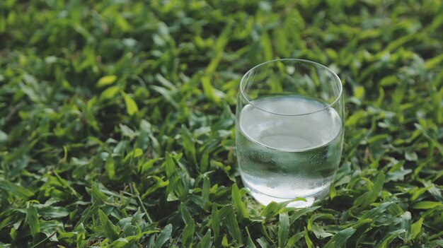 Un verre d'eau avec de la glace sur fond naturexAxA