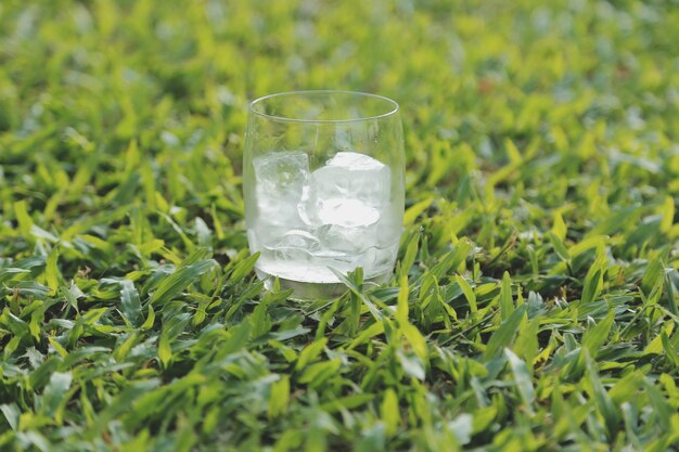 Un verre d'eau avec de la glace sur fond naturexAxA