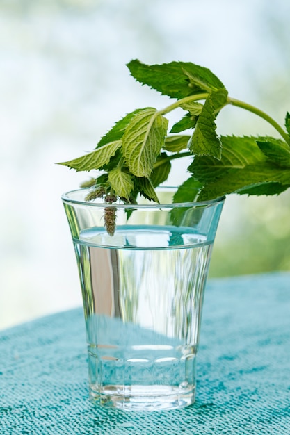 Verre d'eau et de menthe