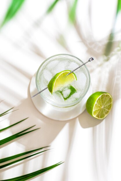 Verre avec de l'eau minérale froide avec de la chaux et des glaçons Ombre de feuille de palmier tropical Lumière du soleil et fond d'ombre beidge minimal