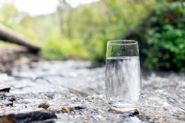Un verre d'eau potable propre et transparente dans un verre transparent sur une pierre dans une forêt verte près d'un ruisseau ou d'une source de montagne. alimentation et alimentation saines, bel espace de copie d'arrière-plan
