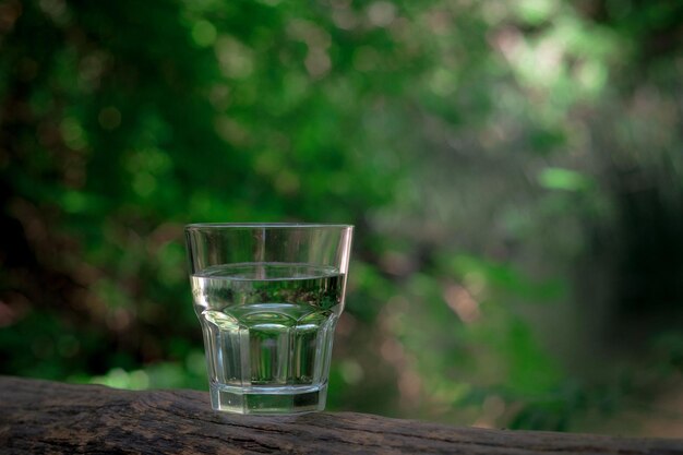 Un verre d'eau propre sur la nature dans la forêt et la rivière Concept d'un mode de vie sain et respectueux de l'environnement