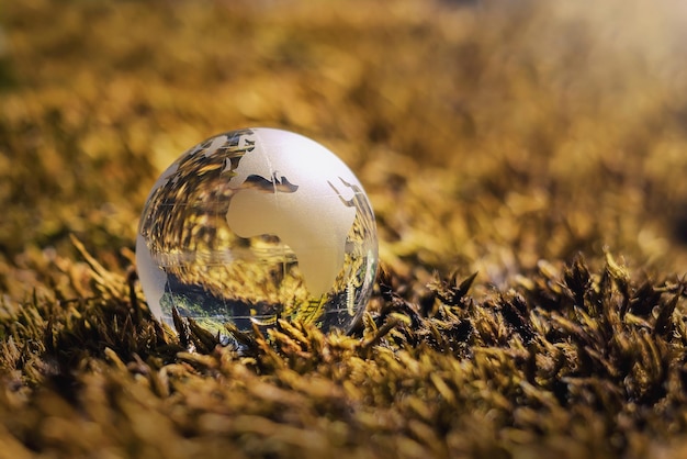 Photo verre de globe sur l'herbe avec le concept d'environnement de soleil