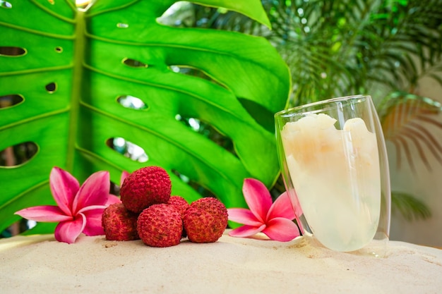 Un verre de lait de coco est posé sur une plage avec une plante tropicale en arrière-plan.