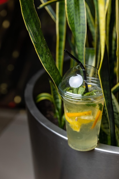 Un verre de limonade est posé devant une plante.