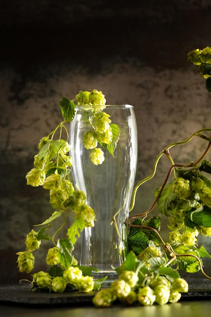 Verre vide et houblon sur fond sombre