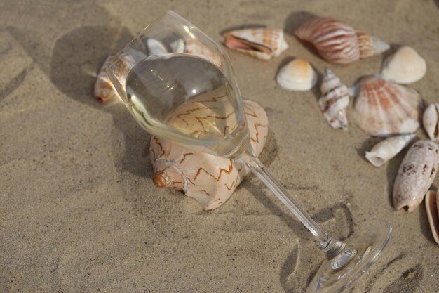 verre de vin blanc sur le sable en arrière-plan avec des coquillages