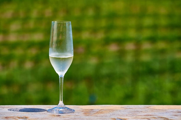 Verre de vin blanc et vignes