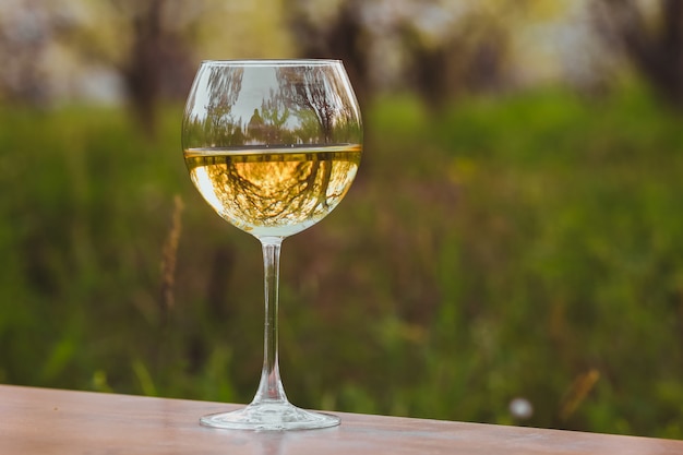 Verre à vin avec du vin blanc dans le verger de pommiers en fleurs