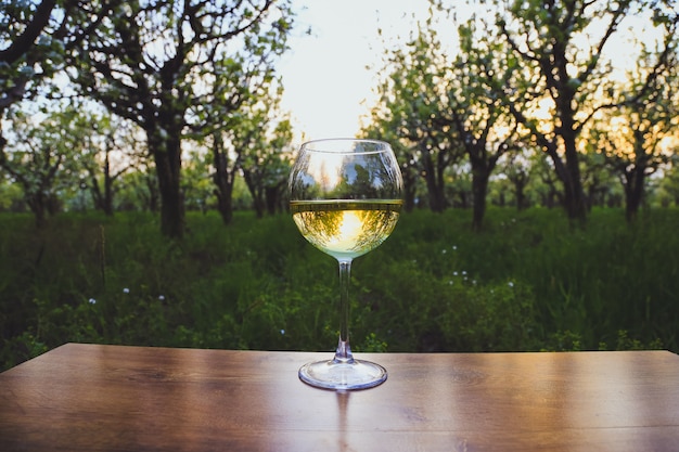 Verre à vin avec du vin dans le jardin de pommiers en fleurs