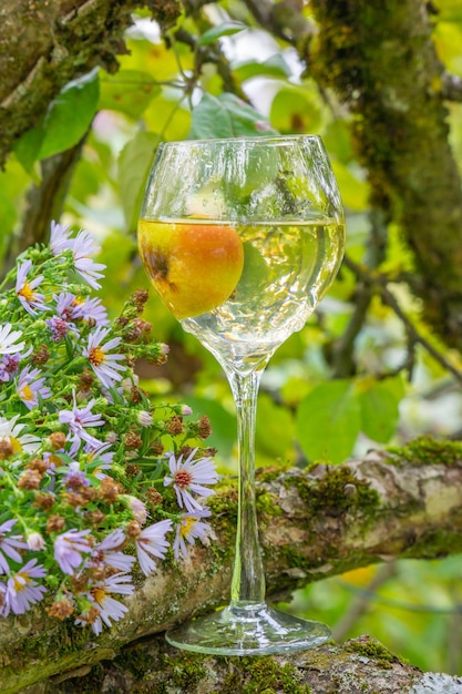 Un verre de vin sur le fond de la nature