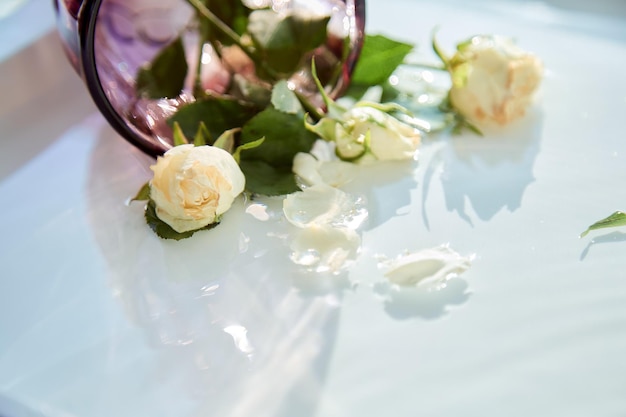 Verre à vin avec des roses blanches délicates sur la surface de l'eau avec des ombres Concept après la fête Espace de copie Photo de haute qualité