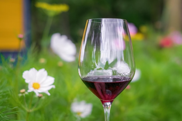 Un verre de vin rouge sur fond de verdure et de couleurs vives