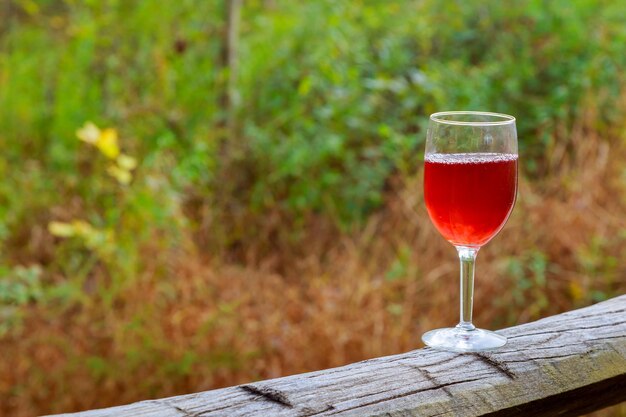 Verre à Vin Rouge Et Grappe De Raisin Sur Une Table En Bois Contre Le Vignoble En été