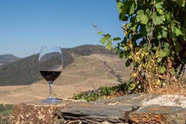 Verre de vin rouge ou de porto à déguster au-dessus des coteaux de la vallée du Douro au Portugal