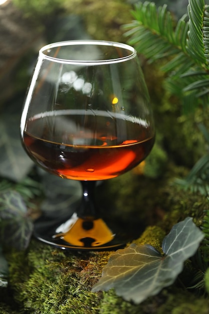 verre de whisky sur le fond vert de la forêt avec de la mousse