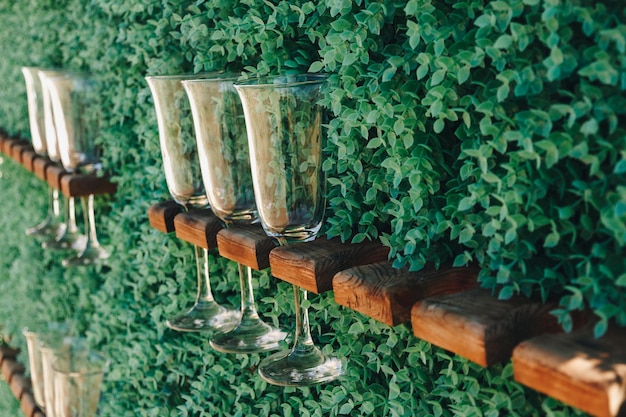 Des verres de champagne vides sont montés sur un support sur un mur de pelouse vert vertical Verres d'invités vides sur le support Décor au mariage