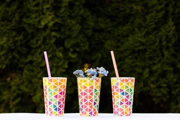 Verres colorés lumineux, plats pour un pique-nique, verres d'été. Copiez l'espace.