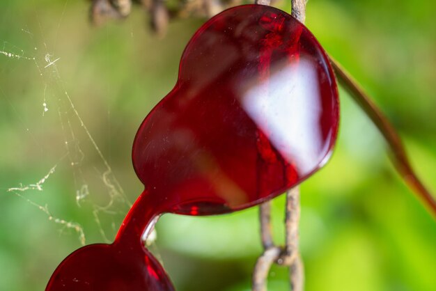 Verres en forme de coeur sur une vieille chaîne