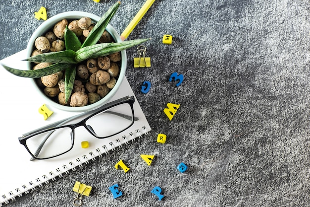 Verres livres de l'enseignant, lettres en bois et un pot de plantes succulentes sur la table, sur le fond d'un tableau noir avec de la craie. Le concept de la journée de l'enseignant. Espace de copie.